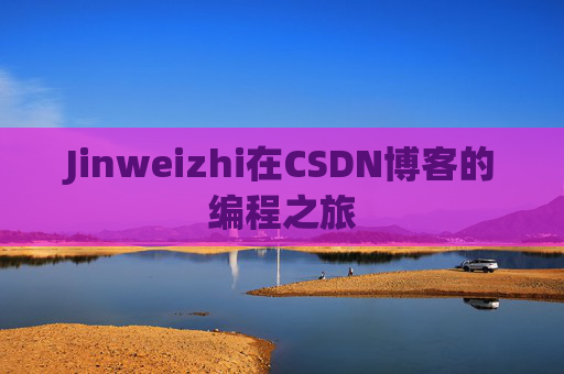 Jinweizhi在CSDN博客的编程之旅